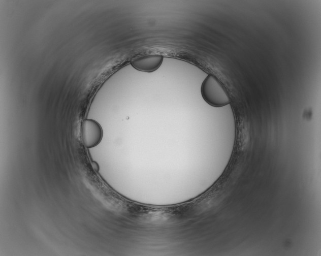 X0000116800310200912181124