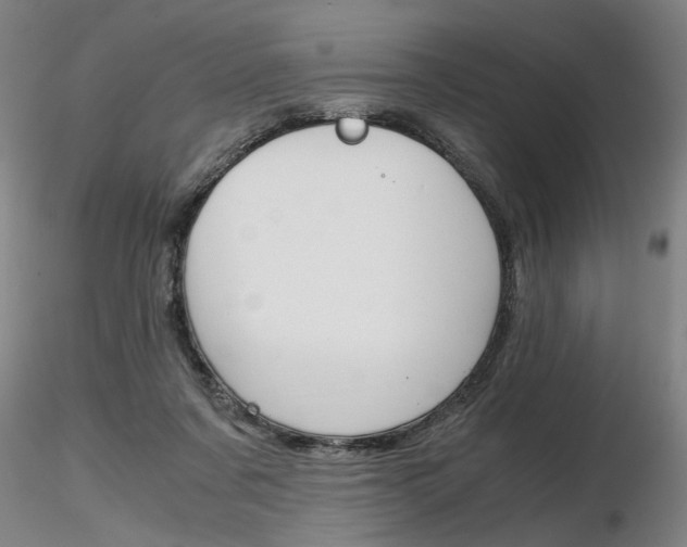 X0000116800311200912181124