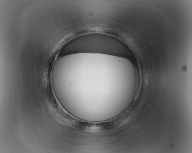 X0000116800312200912181124