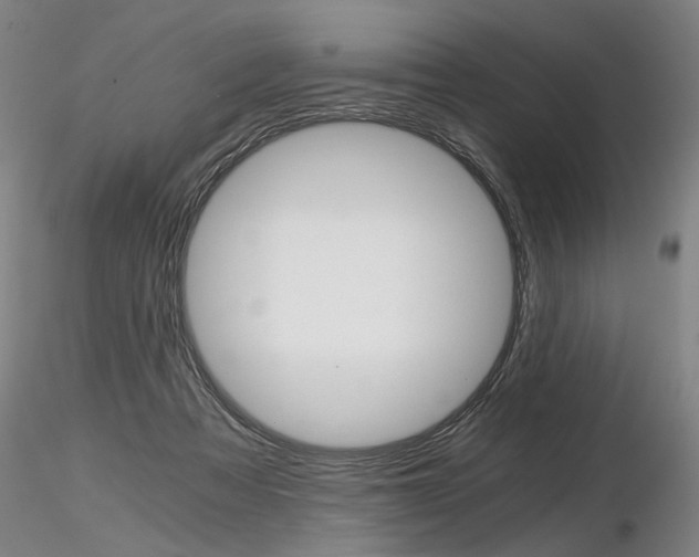 X0000116800313200912181124