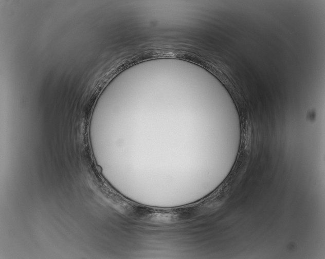 X0000116800314200912181124