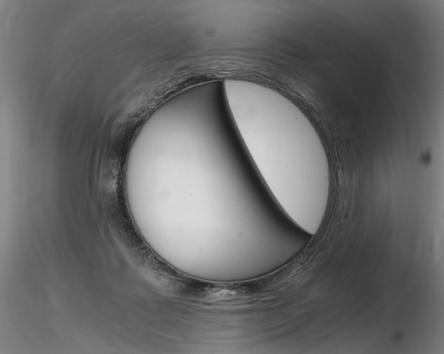 X0000116800315200912181124