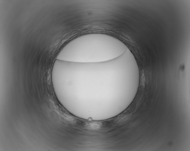 X0000116800318200912181123