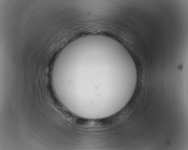 X0000116800319200912181123