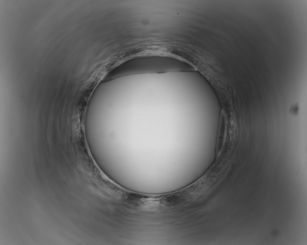 X0000116800320200912181123