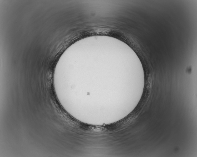 X0000116800321200912181123