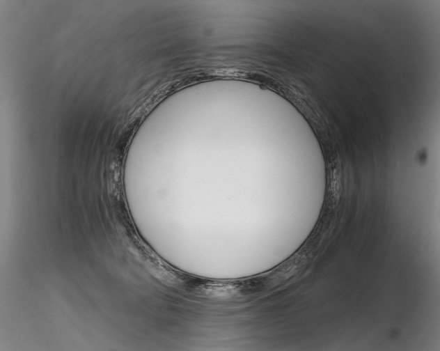 X0000116800322200912181123