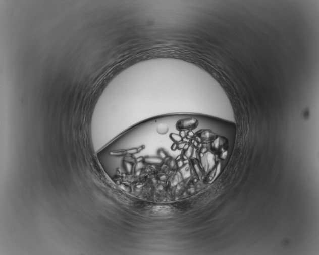 X0000116800324200912181123