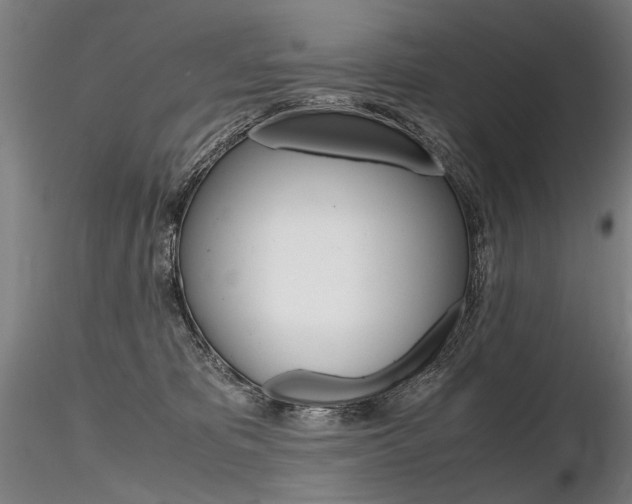 X0000116800325200912181123