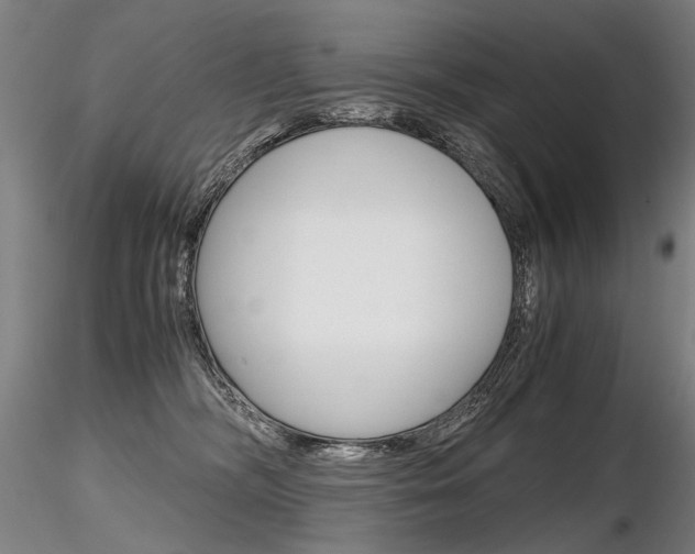 X0000116800326200912181123
