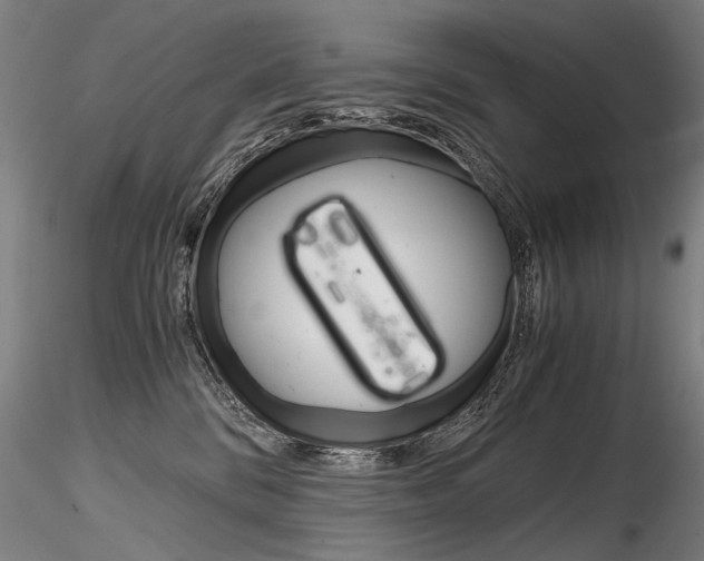 X0000116800328200912181123