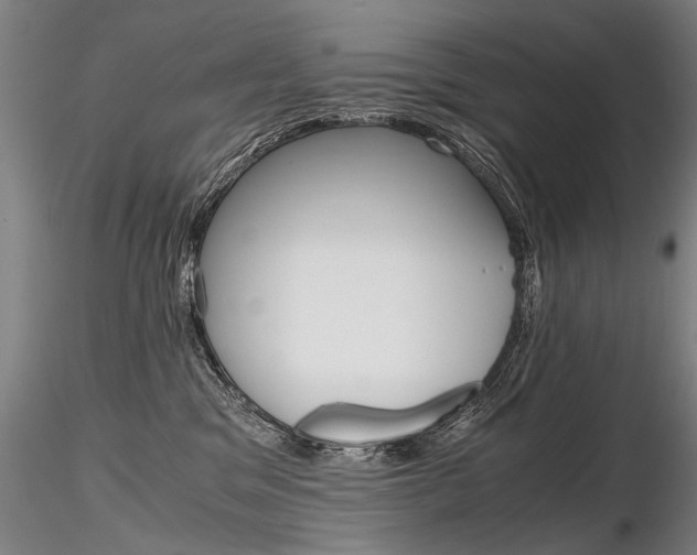 X0000116800329200912181123