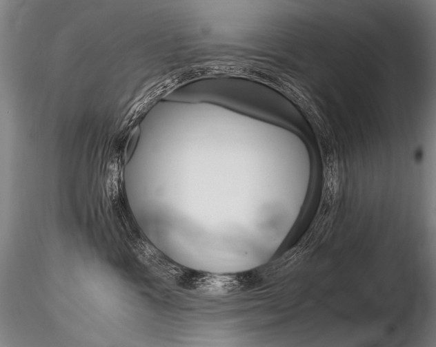 X0000116800333200912181123