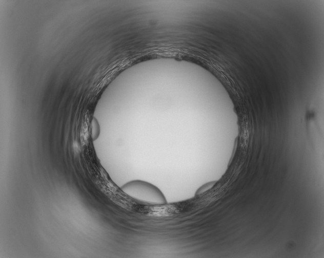 X0000116800334200912181123