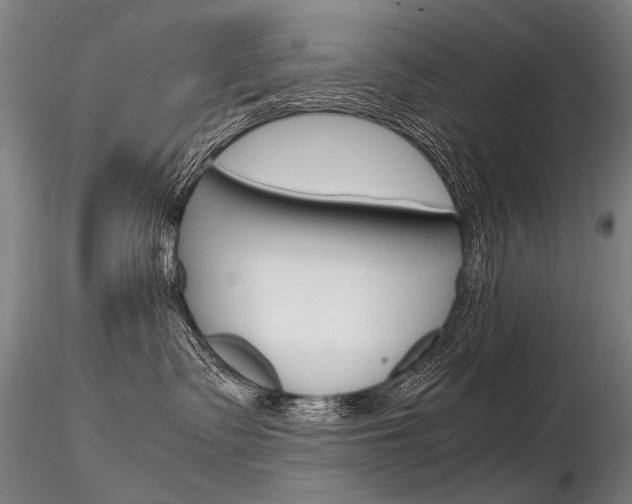 X0000116800335200912181123