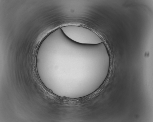 X0000116800337200912181122