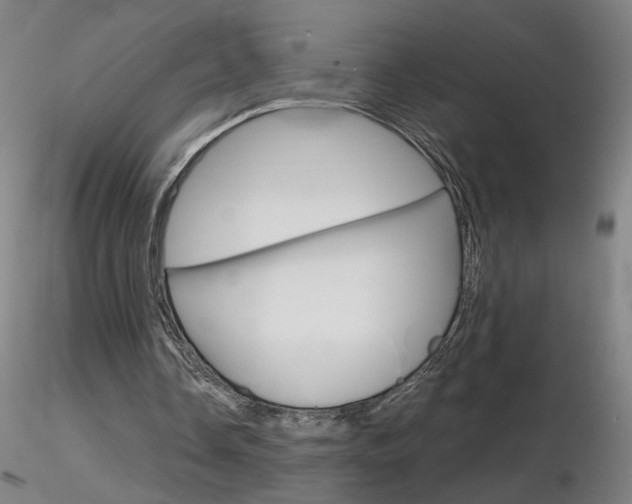 X0000116800338200912181122