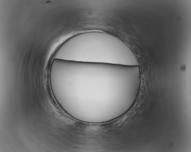 X0000116800342200912181122
