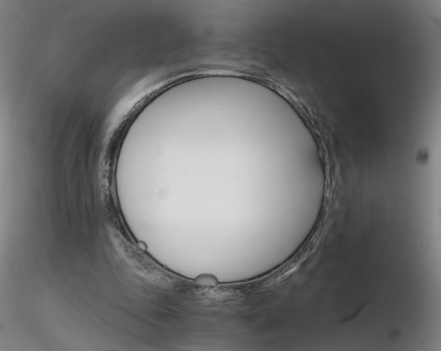 X0000116800343200912181123