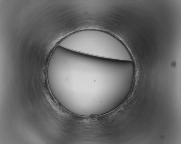 X0000116800345200912181123
