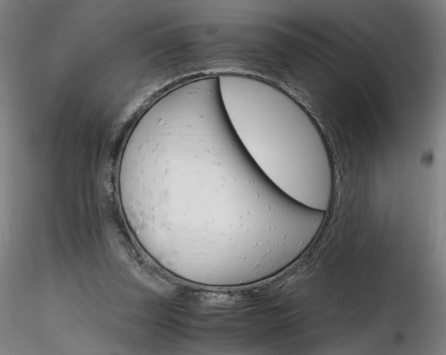 X0000116800347200912181123