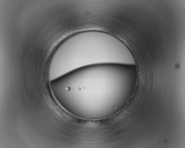 X0000116800350200912181123