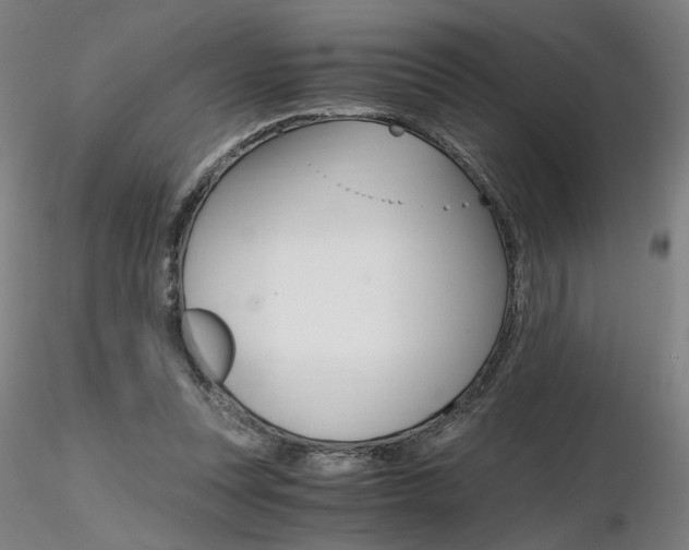 X0000116800351200912181123
