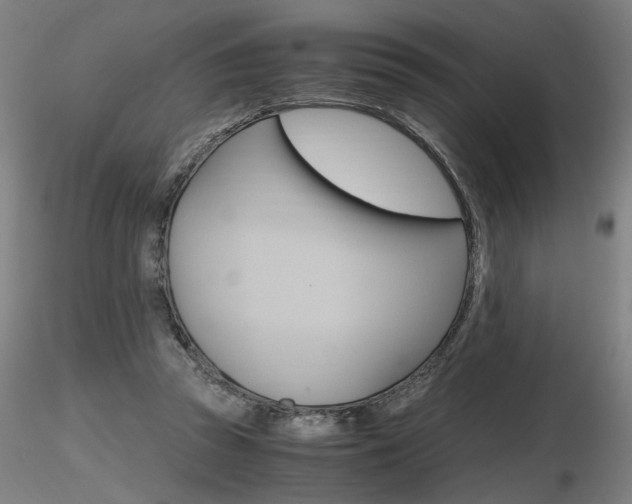 X0000116800353200912181123