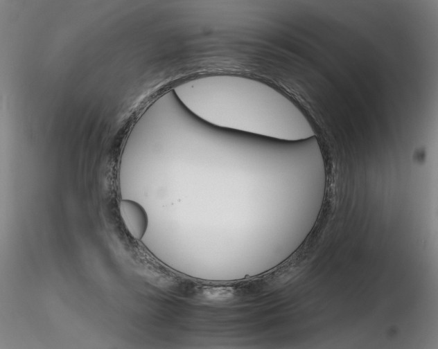 X0000116800355200912181123