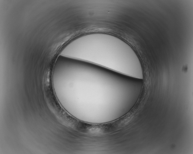 X0000116800358200912181123