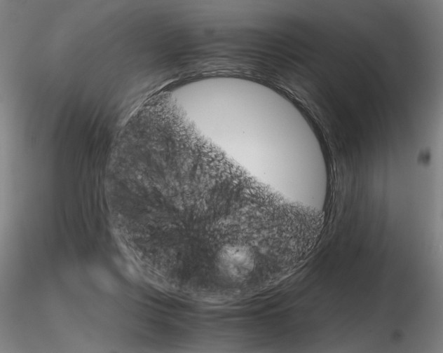 X0000116800359200912181123