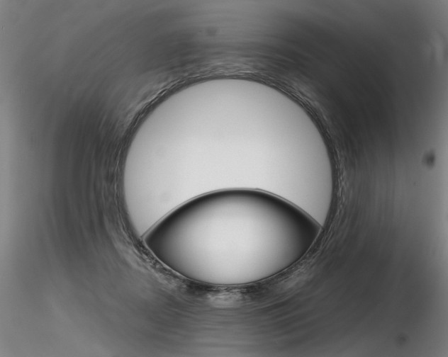 X0000116800362200912181123