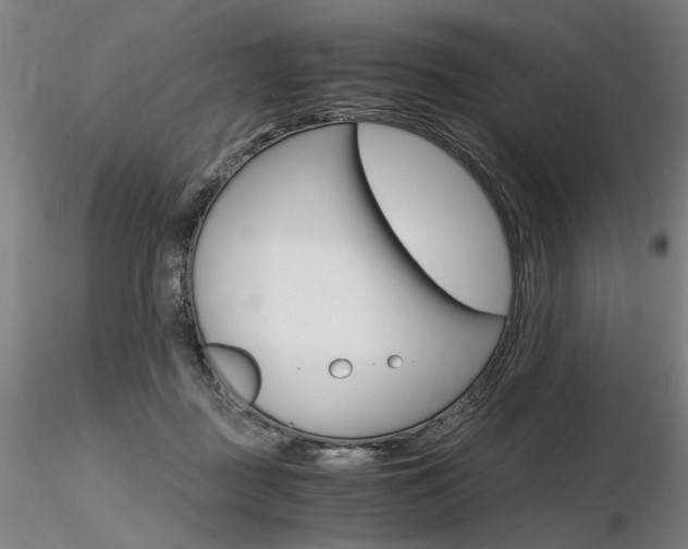 X0000116800363200912181123