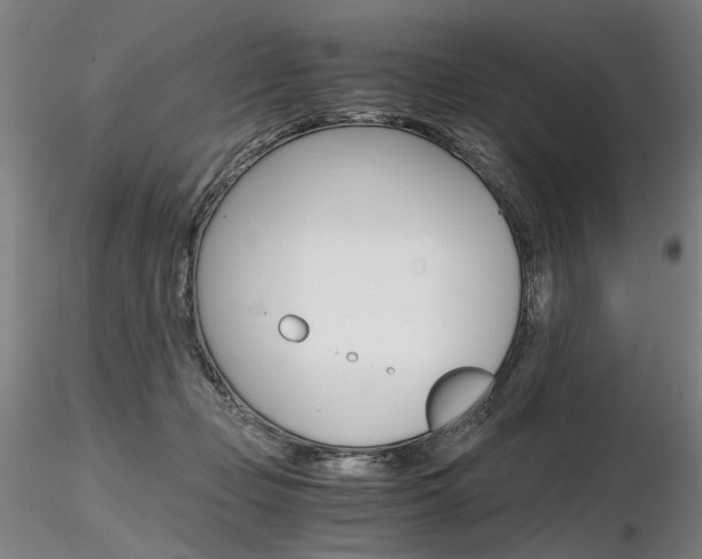 X0000116800365200912181123