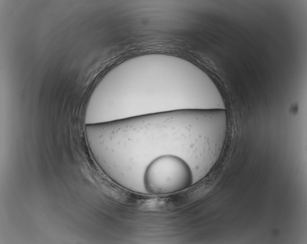 X0000116800366200912181123