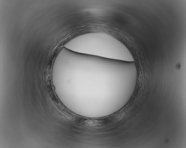 X0000116800367200912181123