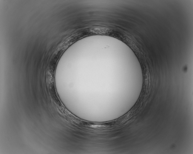 X0000116800371200912181123