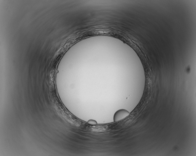 X0000116800373200912181123