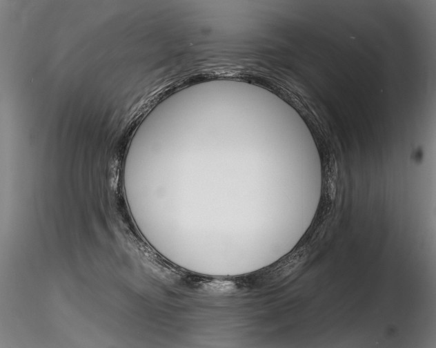 X0000116800374200912181123
