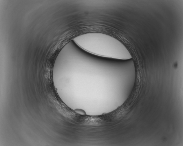 X0000116800379200912181123