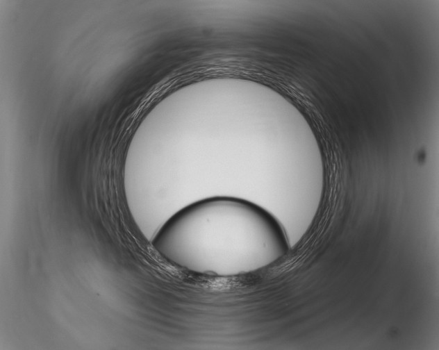 X0000116800382200912181123
