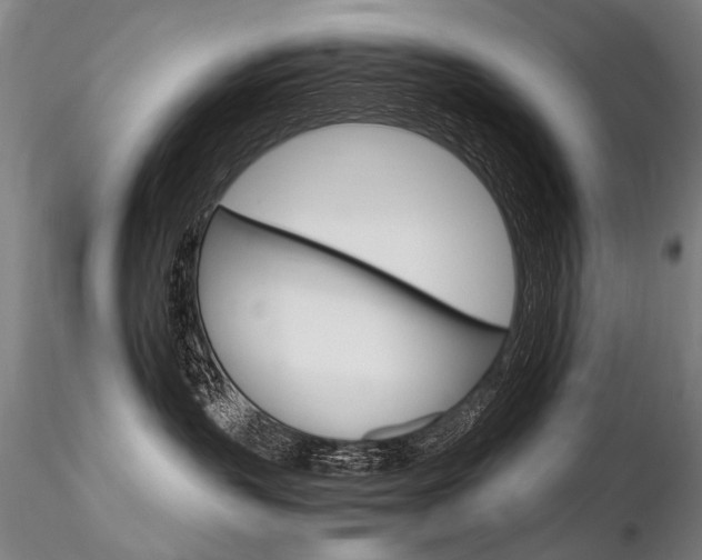 X0000116800383200912181123
