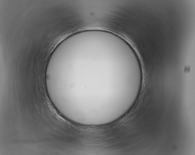 X0000116800385200912181122