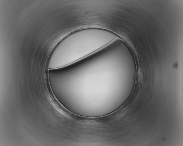 X0000116800389200912181122