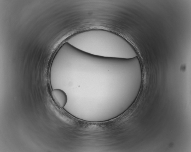 X0000116800390200912181122