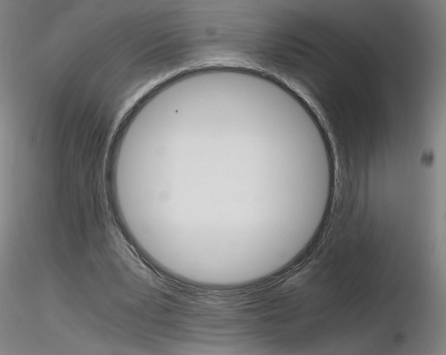 X0000116800391200912181122