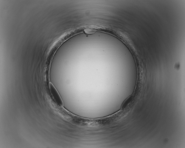 X0000116800395200912181122