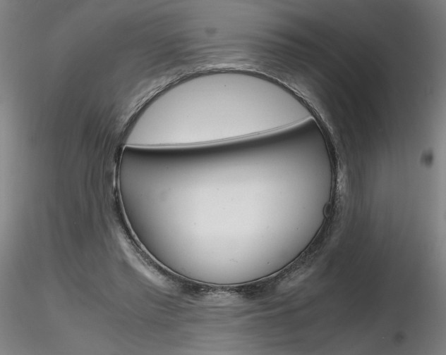 X0000116800397200912181122