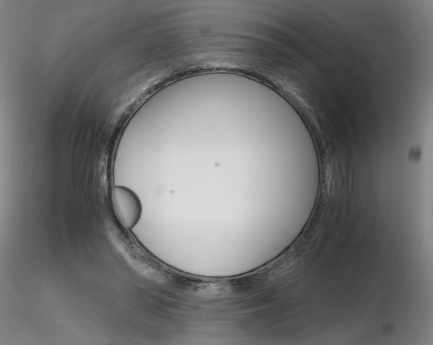 X0000116800398200912181122