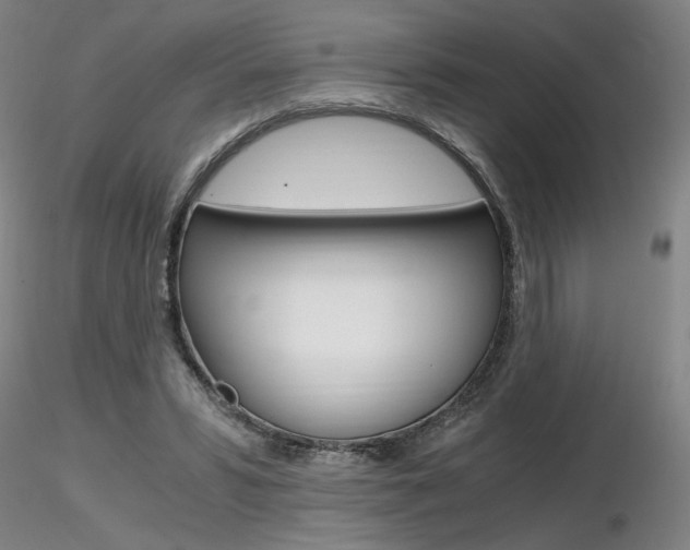 X0000116800399200912181122